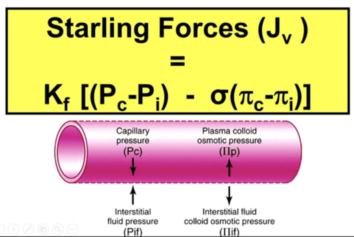 <p>describe this image - starlings forces</p>