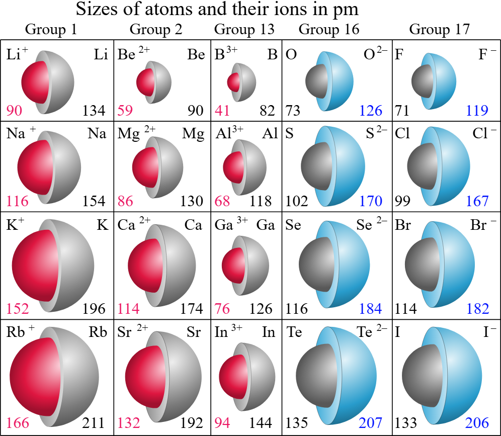 <p>size of the ions</p>