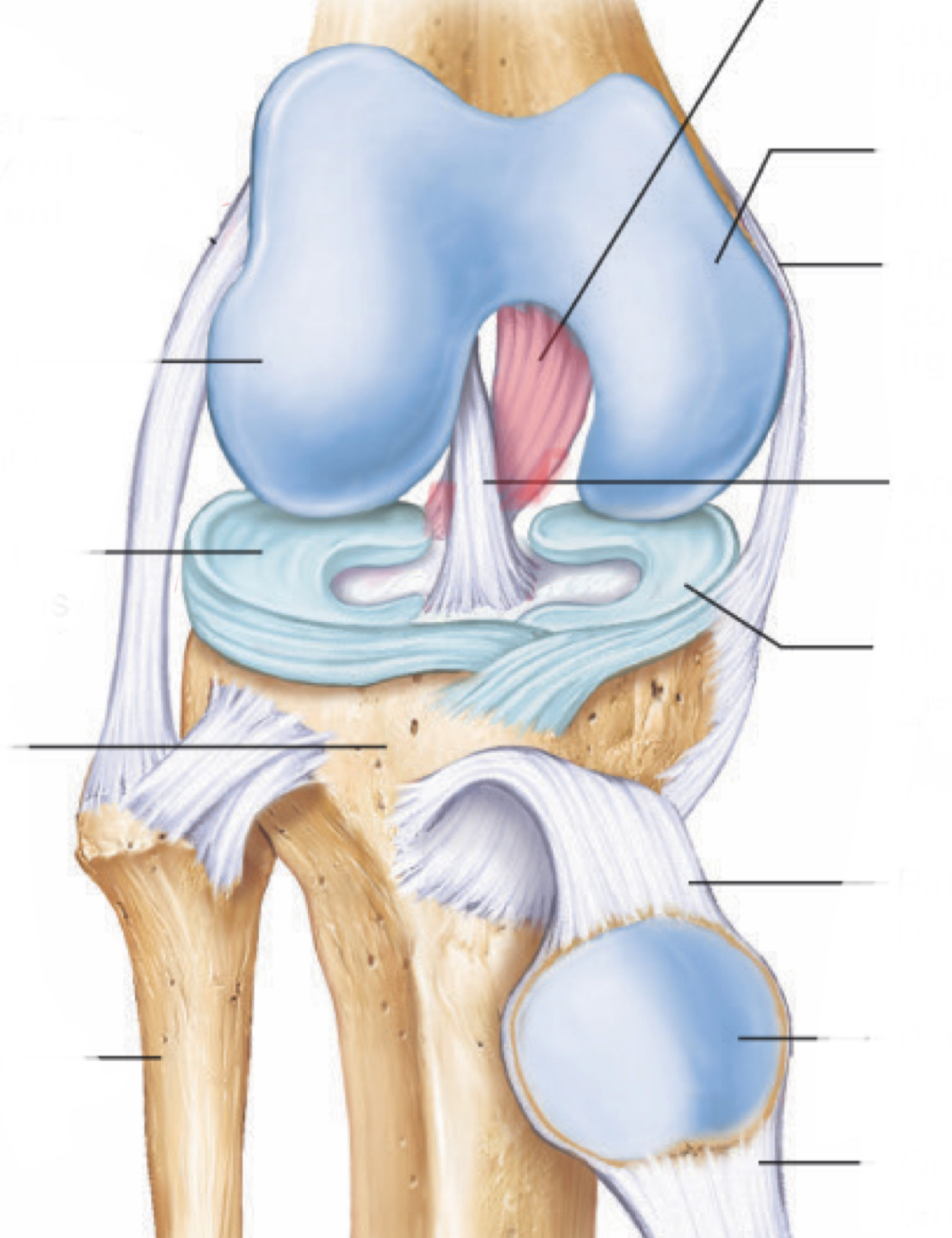 <p>*movement + prevention</p>