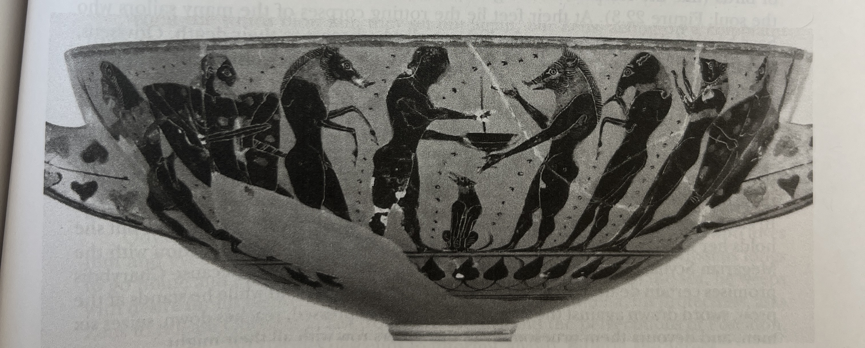 term image