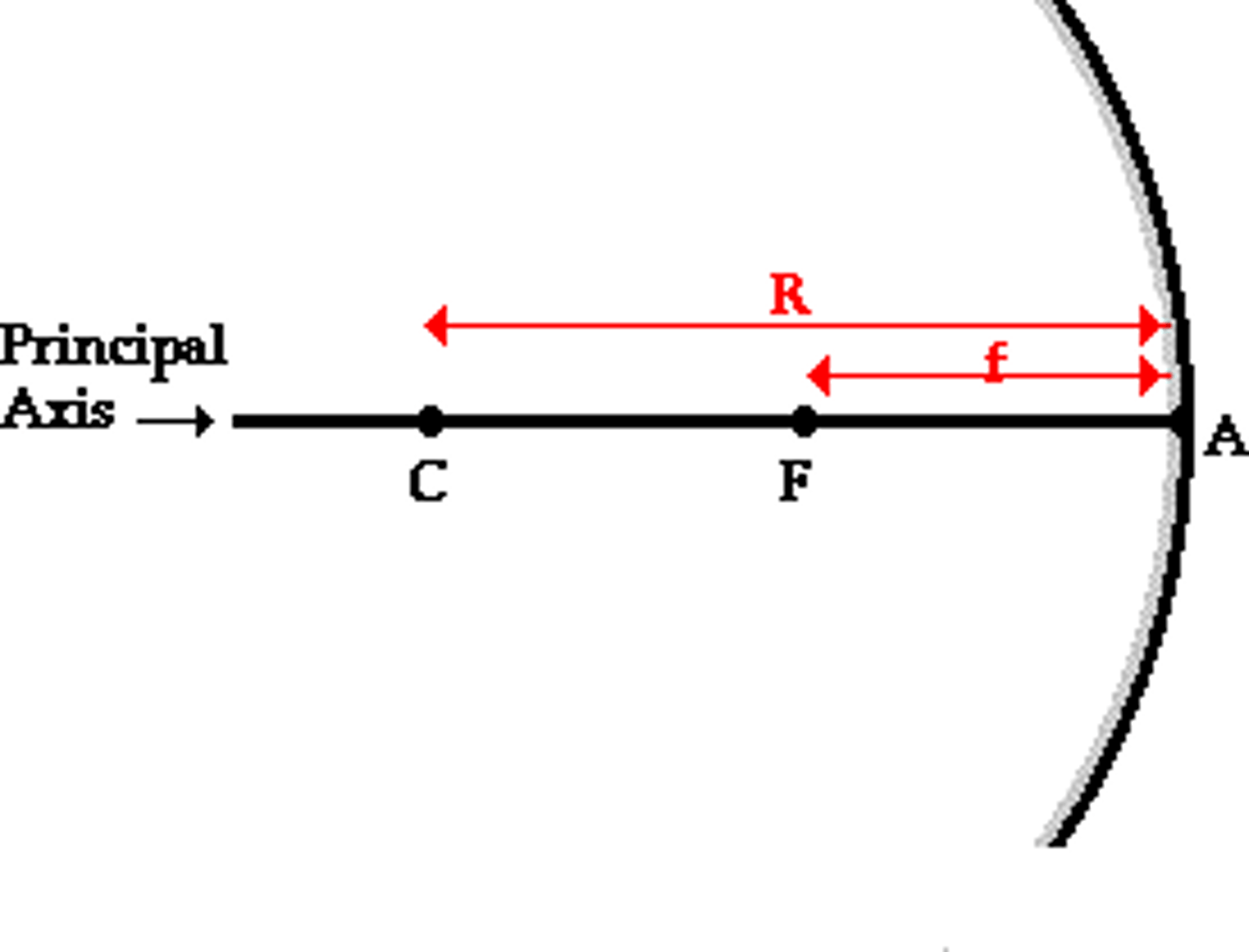 <p>Labelled as "PA." A straight line perpendicular to the surface of a mirror.</p>