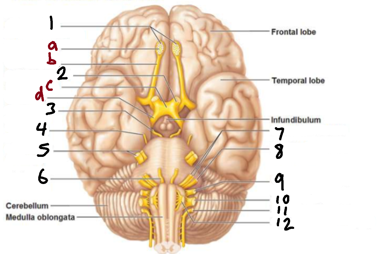 <p>What is 2?</p>