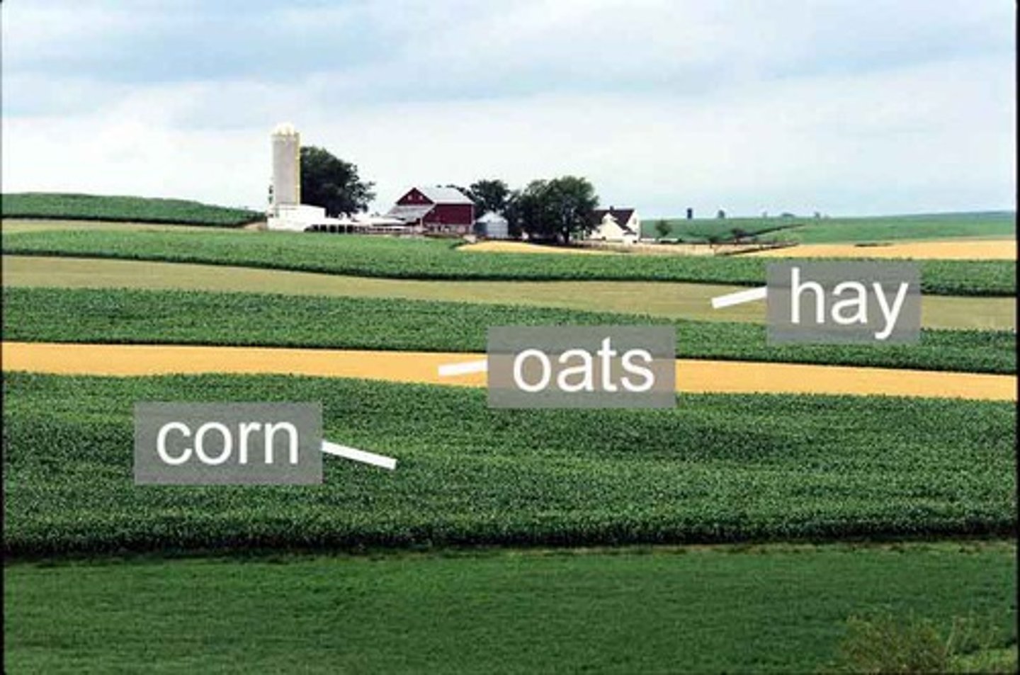 <p>Planting different types of crops in alternating bands or other spatially mixed arrangements.</p>