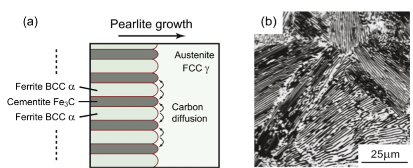 <p>carbon must diffuse to the growing cementite phase as the two-phase _______ grows (α-Fe is almost pure Fe)</p><p>a two-phase lamellar (parallel layers) mixture of ferrite and cementite. Eutectoid transformation. Not on phase diagram → <span><span>α + Fe</span><sub><span>3</span></sub><span>C but can have different morphology. </span></span></p>
