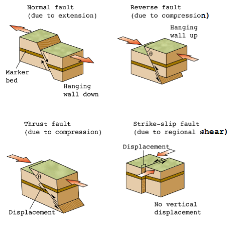 <ul><li><p>Normal fault </p></li><li><p>Reverse fault</p></li><li><p>Thrust fault </p></li><li><p>Strike-slip fault</p></li></ul><p></p>