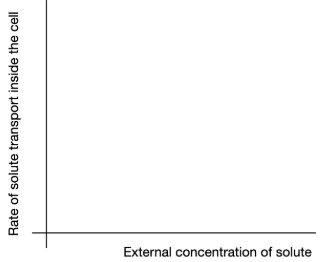 <p><span>In a graph similar to the one below we have represented simple and facilitated diffusion together in class. We also started to draw the differences if the facilitated diffusion was mediated by a channel or a transporter. How would you finish the representation? </span><strong>MAKE SURE to:</strong><span> </span><strong>(1)</strong><span> include the representation of both facilitated diffusion mediated by a channel and by a transporter </span><strong>(2)</strong><span> explain briefly the reasoning behind the curves you have drawn</span></p>