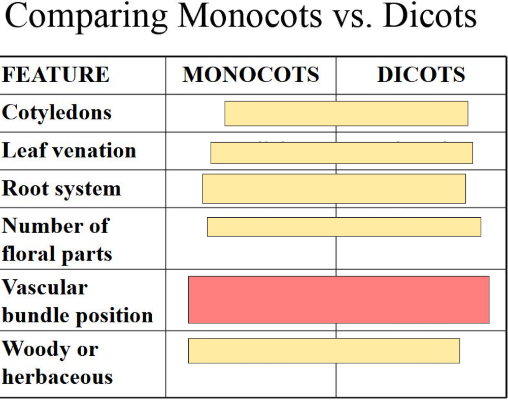 <p>answer in this format:<br>M- (answer)<br>D- (answer)</p>