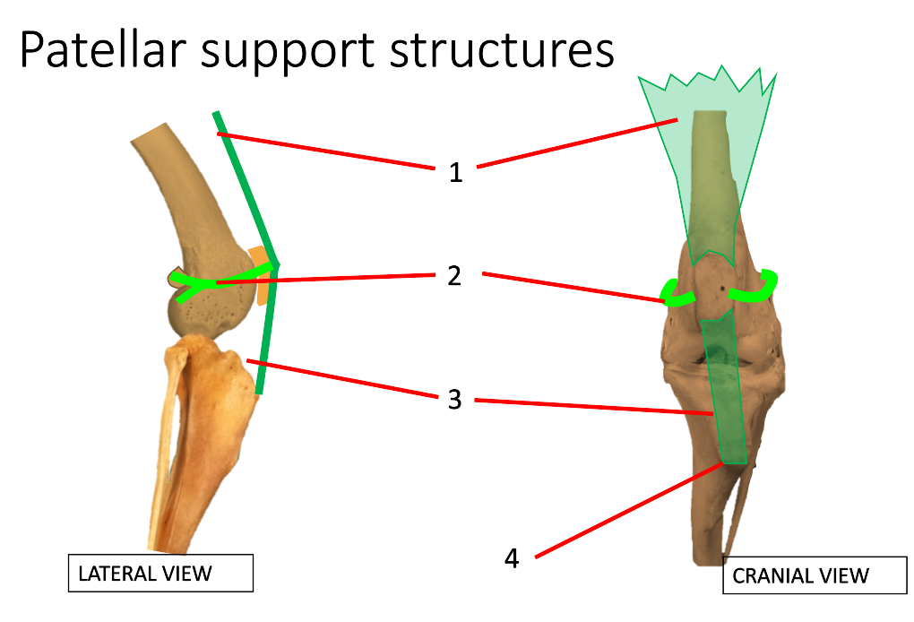 <p>1</p>