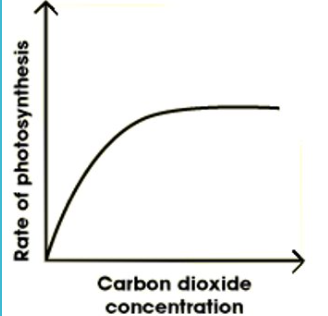 <p>Carbon Dioxide concentration </p>
