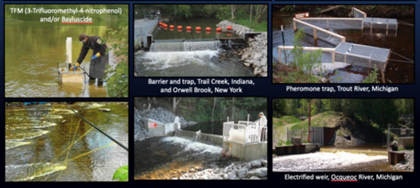 <p>. TFM (3 Trifluoromethly - 4-nitrogphenol) and/ or Bayluscide</p><p>. Barrier traps</p><p>. Pheromone Traps</p><p>. Electrified weir</p>