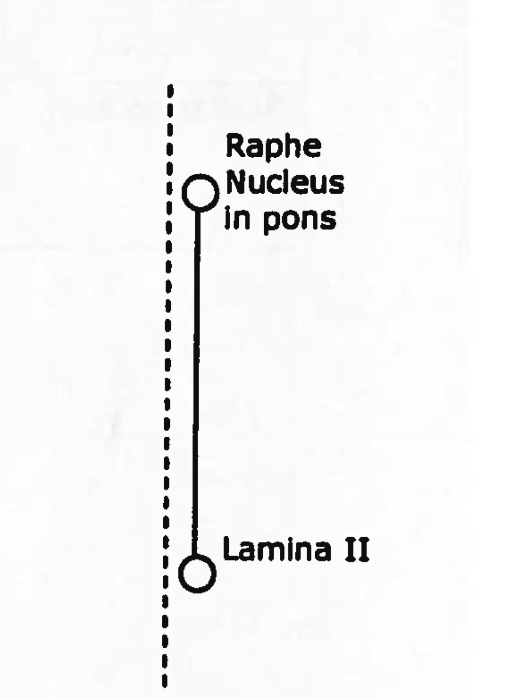 <p>Name tract</p><p>Ascending or descending?</p>