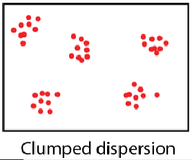 <p>seen in herd animals that stay together or plants that prefer to grow alongside another specie.</p>