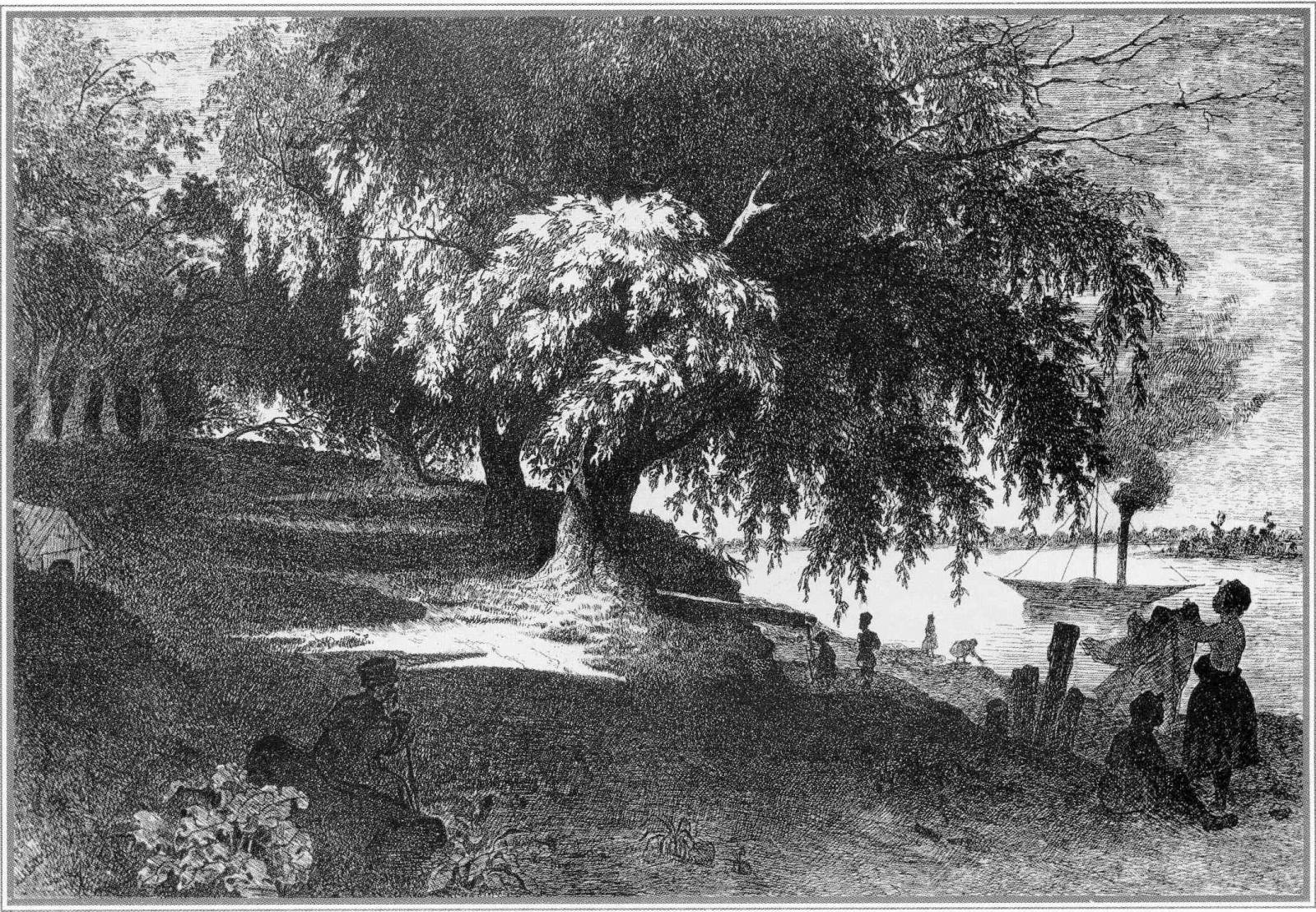 term image