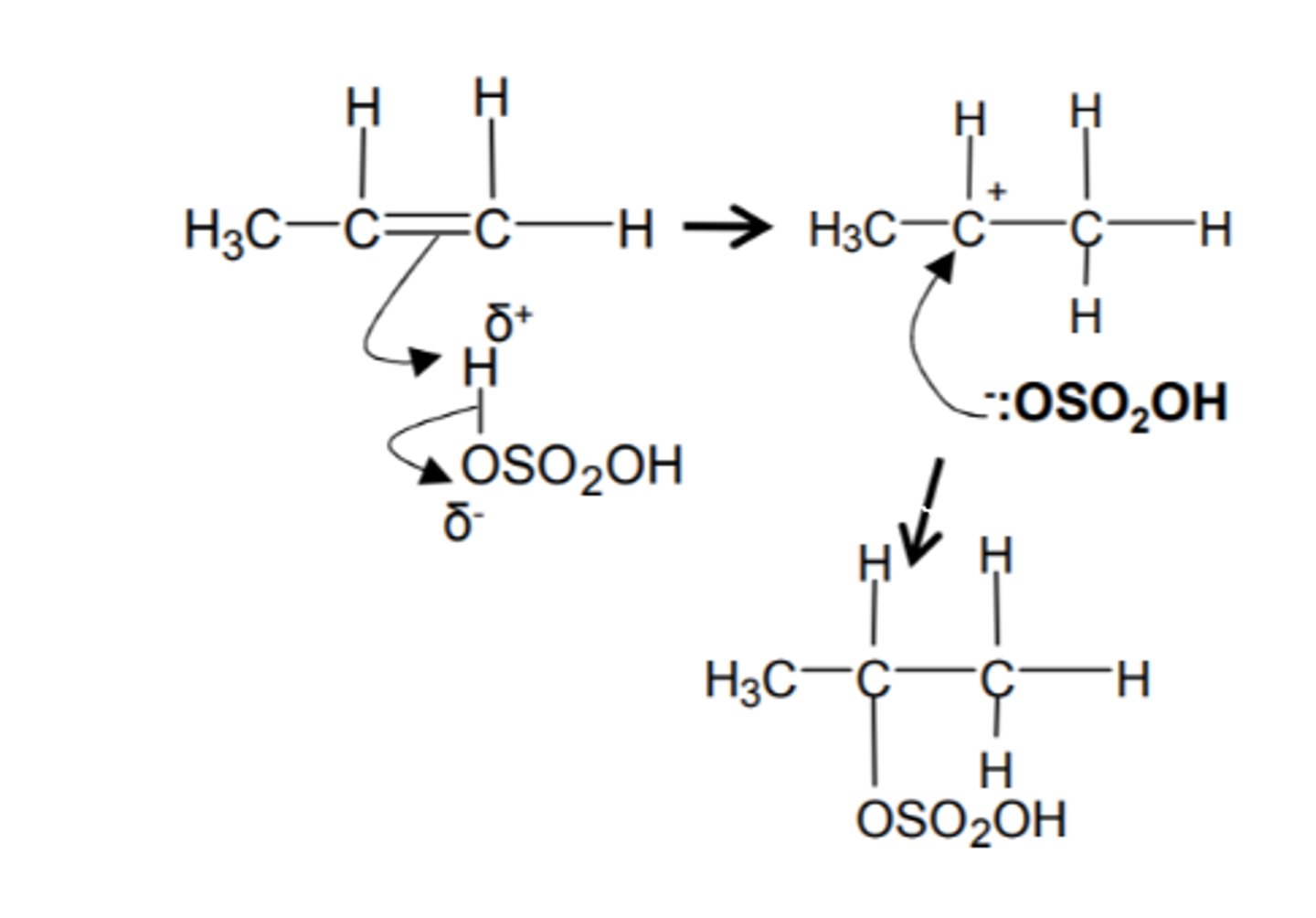 <p>Electrophilic addition</p>