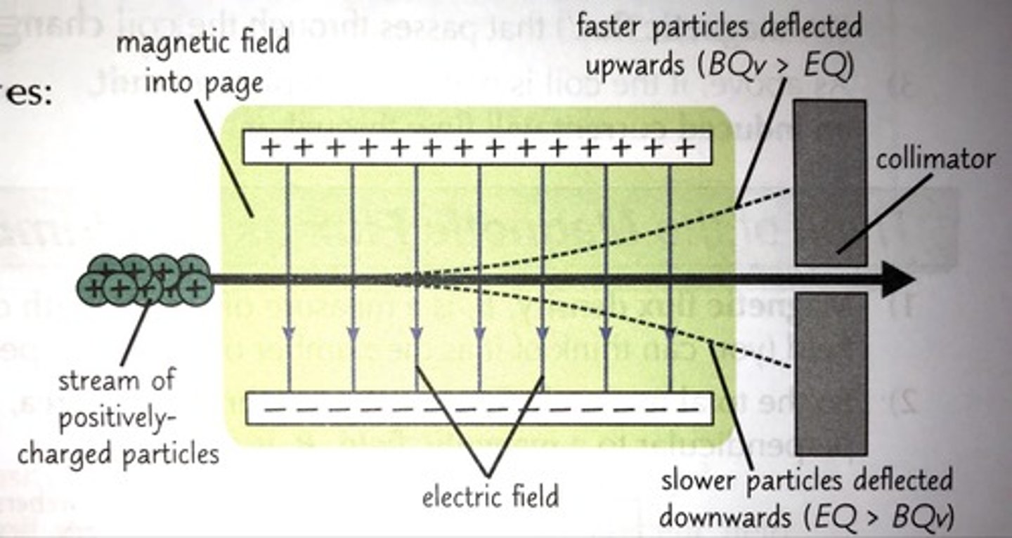<p>two parallel plates connected to power supply produce a uniform electric field of strength E between plates</p><p>uniform magnetic field of fluc density B is applied perpendicular to electric field</p><p>charged particles at different speeds enter through a slit</p><p>electric field and magnetic field deflect them in opposite directions, but only particles with a specific velocity will these deflections cancel so that they travel in a straight line, passing through the velocity selector</p><p>for these particles, EQ = BQv</p><p>∴ v = E/B</p>