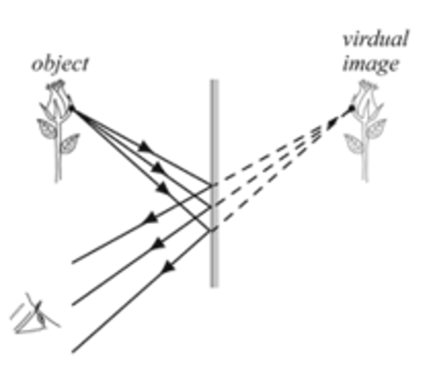 <p>Real or virtual</p>