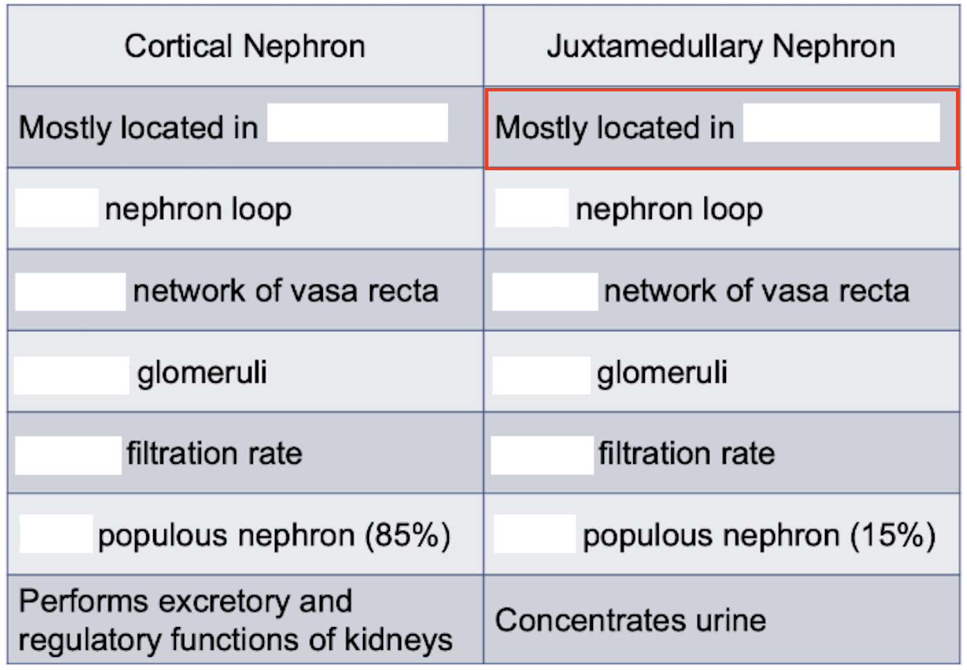 <p>Renal cortex or renal medulla?</p>