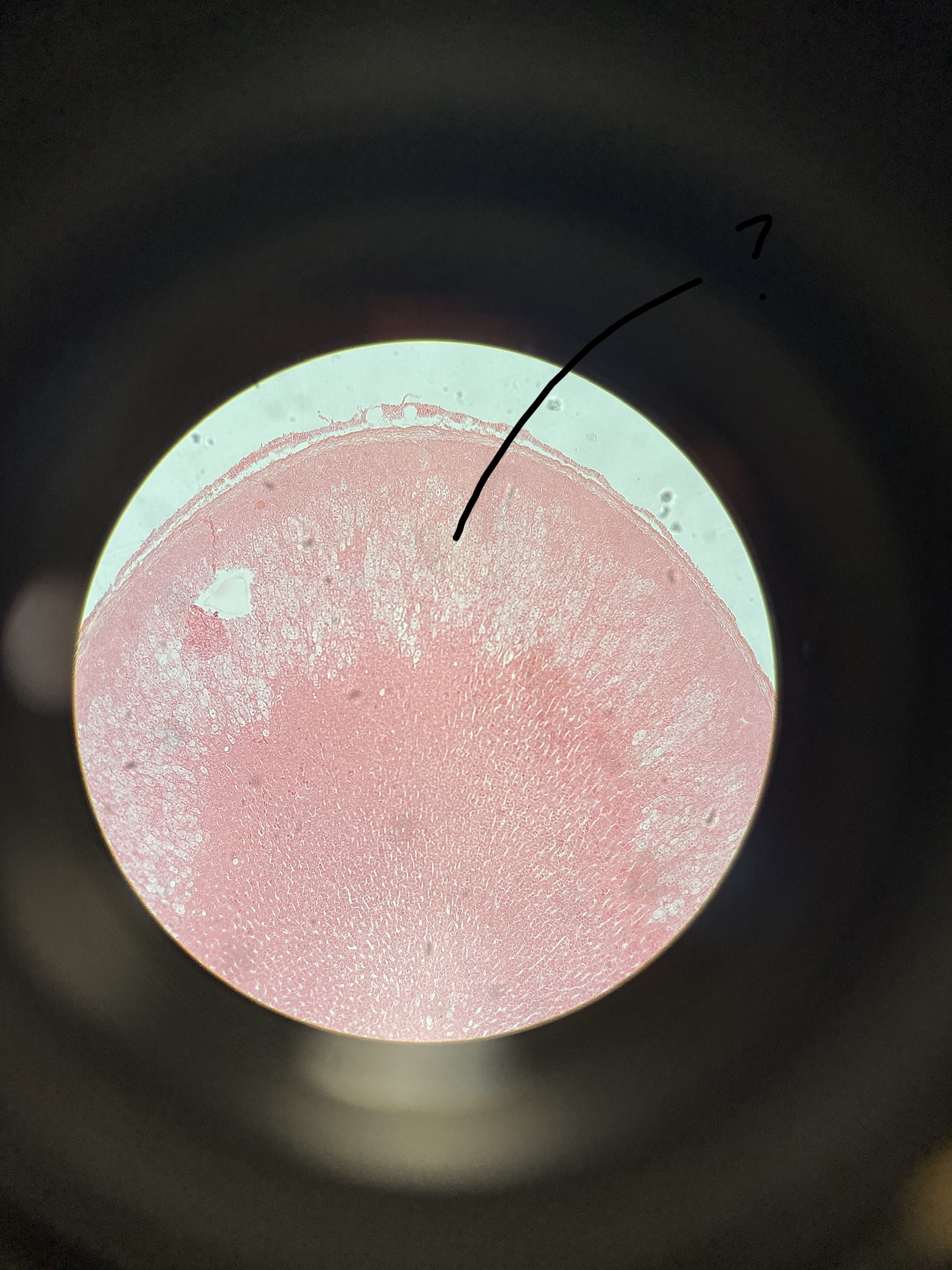 <p>What is the arrow pointing to?</p>