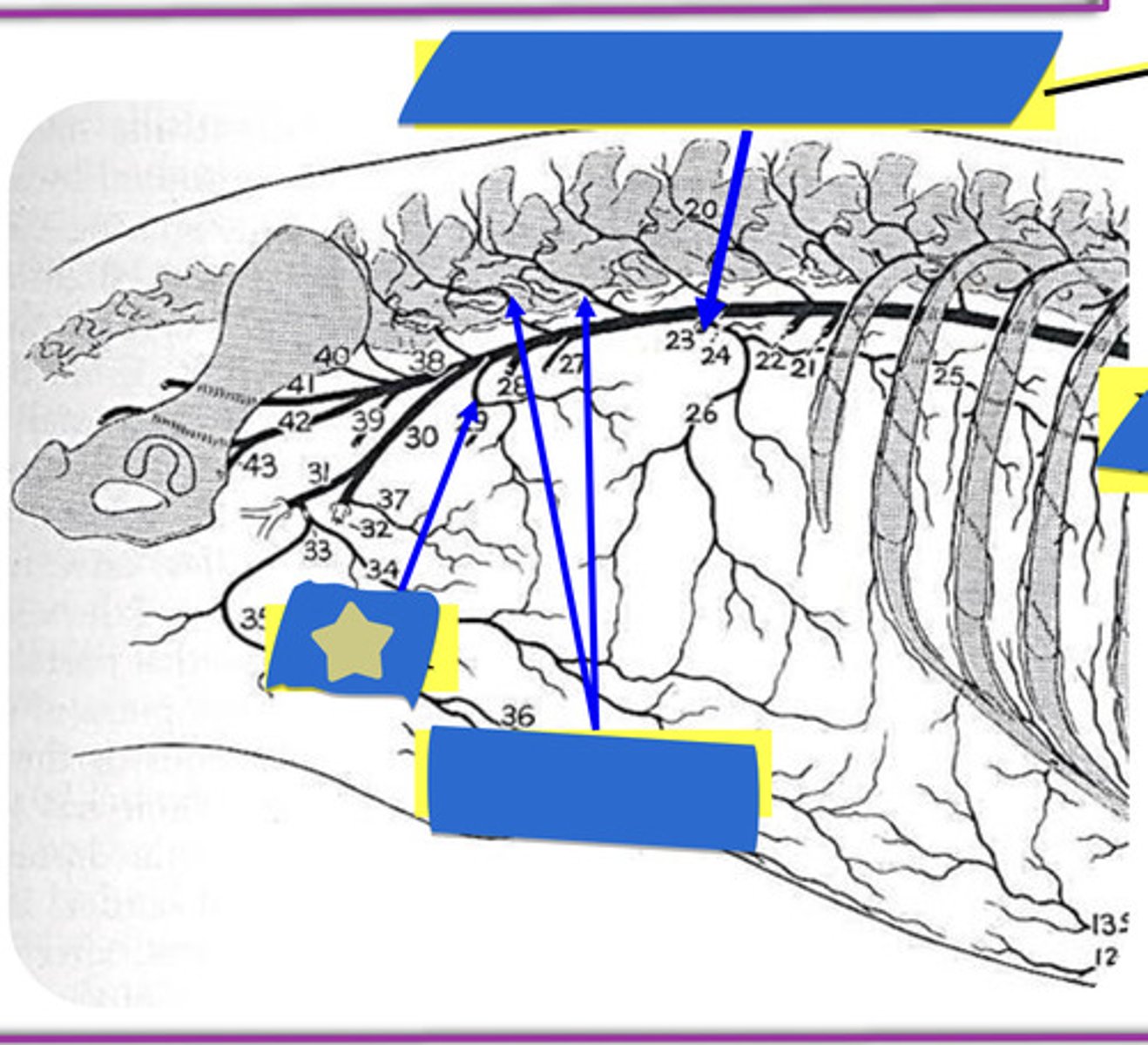knowt flashcard image