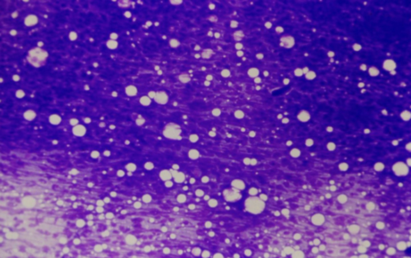 <p>What's wrong with this sample?</p>