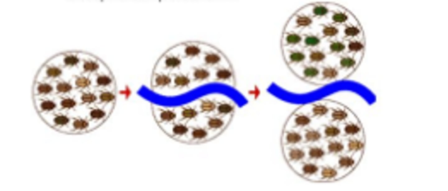<p>the process of speciation that occurs with geographic isolation</p>