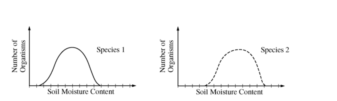 <p>The diagrams above show the range of tolerance for soil moisture content for two different species of terrestrial invertebrate: Species 1 and Species 2. The ranges represented are for each species where it occurs alone. Soil moisture content is a limiting factor for both species. If populations of both species are placed together in a new location, which of the following diagrams represents the most likely actual (realized) ranges of the species’ distribution of individuals with respect to soil moisture content after five generations?</p><p></p><img src="https://assets.learnosity.com/organisations/537/media.academicmerit.com/dbd65470646b9d132a3ad6c932a4b2f7/original.png" data-width="100%" data-align="center" alt=""><img src="https://assets.learnosity.com/organisations/537/media.academicmerit.com/ce0fec649bf3b8763649f5c105065de9/original.png" data-width="100%" data-align="center" alt=""><img src="https://assets.learnosity.com/organisations/537/media.academicmerit.com/8f3a1151c1ea26c565018f4527d83929/original.png" data-width="100%" data-align="center" alt=""><img src="https://assets.learnosity.com/organisations/537/media.academicmerit.com/31694f04b1a34c9e3118cb1e470ec508/original.png" data-width="100%" data-align="center" alt=""><img src="https://assets.learnosity.com/organisations/537/media.academicmerit.com/b0a45c38a657e9f386337b2b76479277/original.png" data-width="100%" data-align="center" alt=""><p></p>