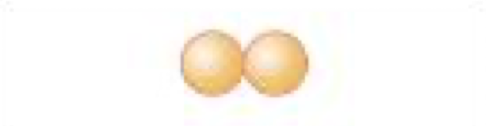 <p>pair of two cocci</p>