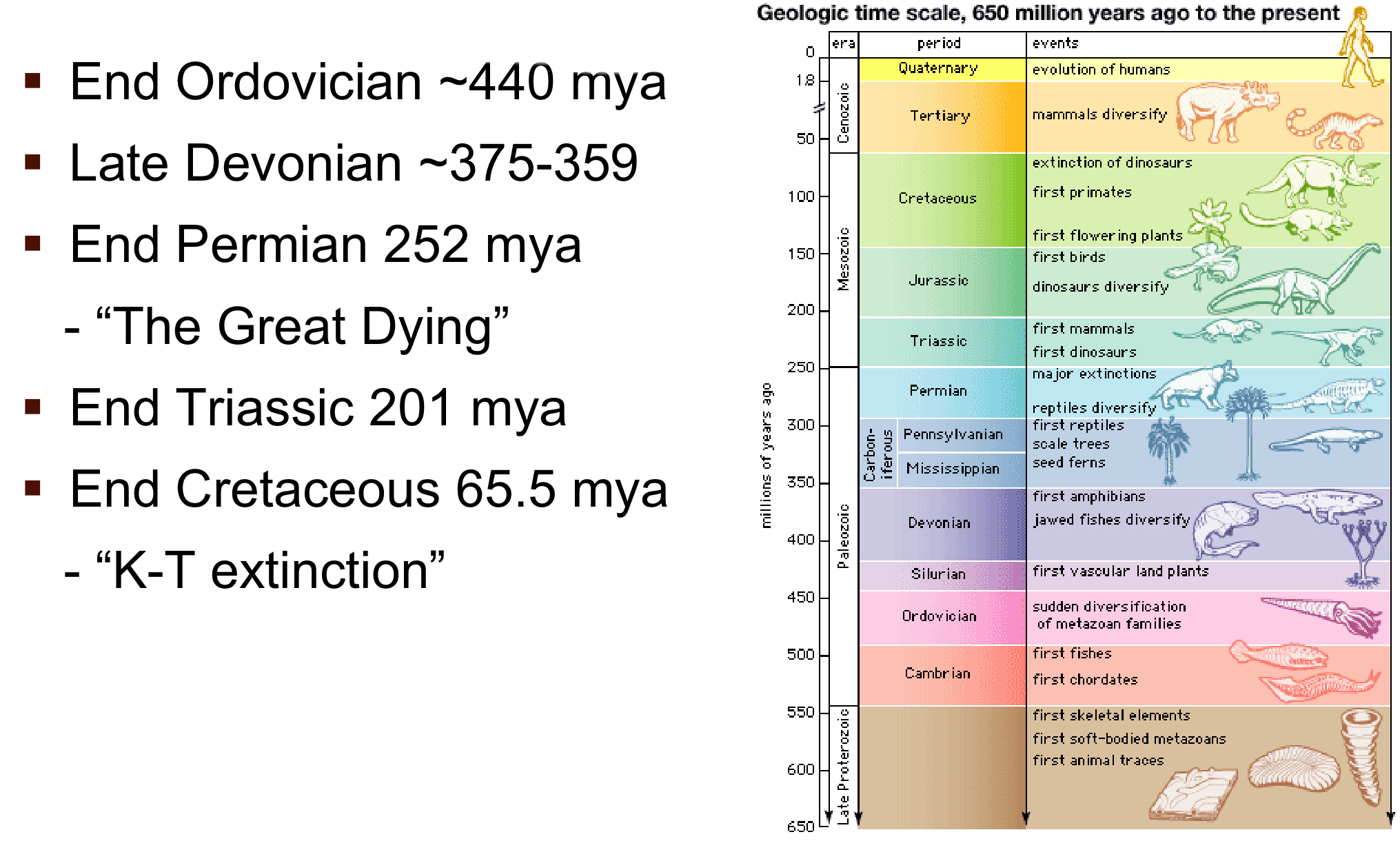 <p>Five major events recognized in Earth's history. </p>