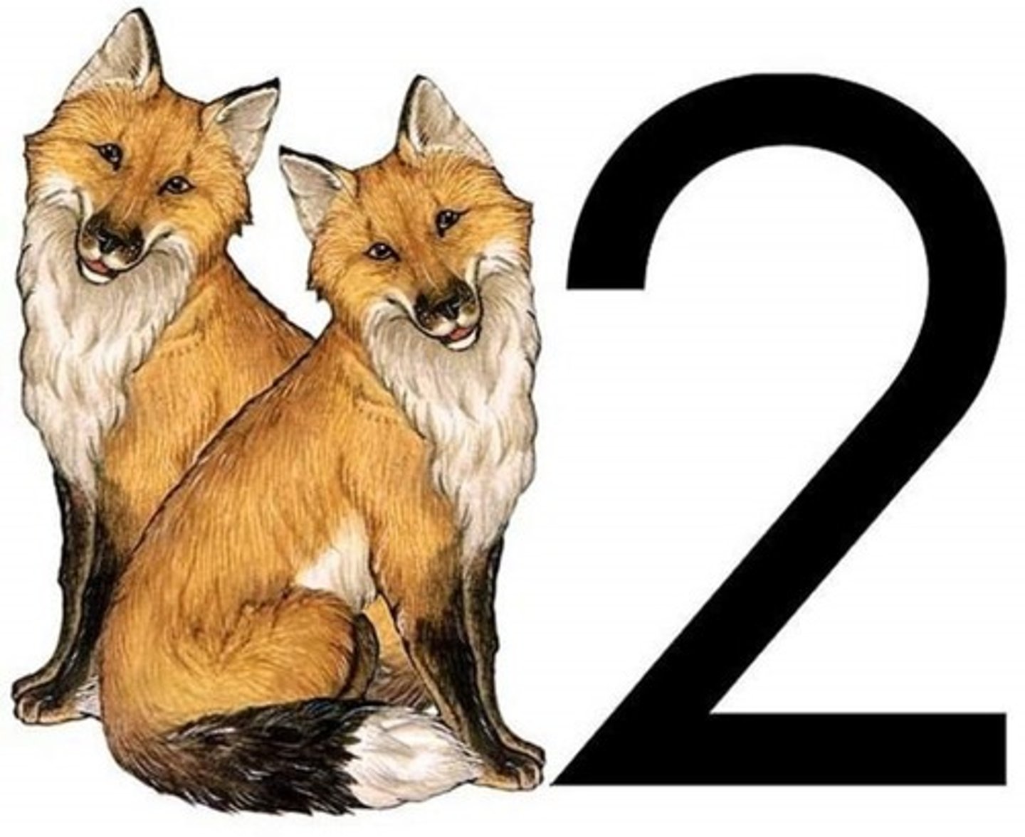 <p>2 (native)</p>