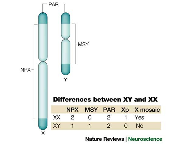 dark blue shows common genes between X and Y