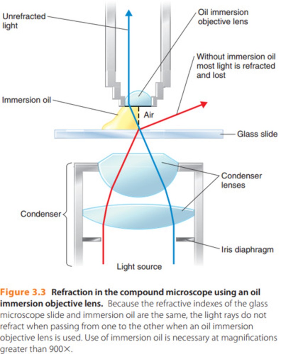 <p>oil has higher refraction index than air so gathers more light--> higher resolution</p>