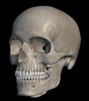 <p>What bone is this?</p>