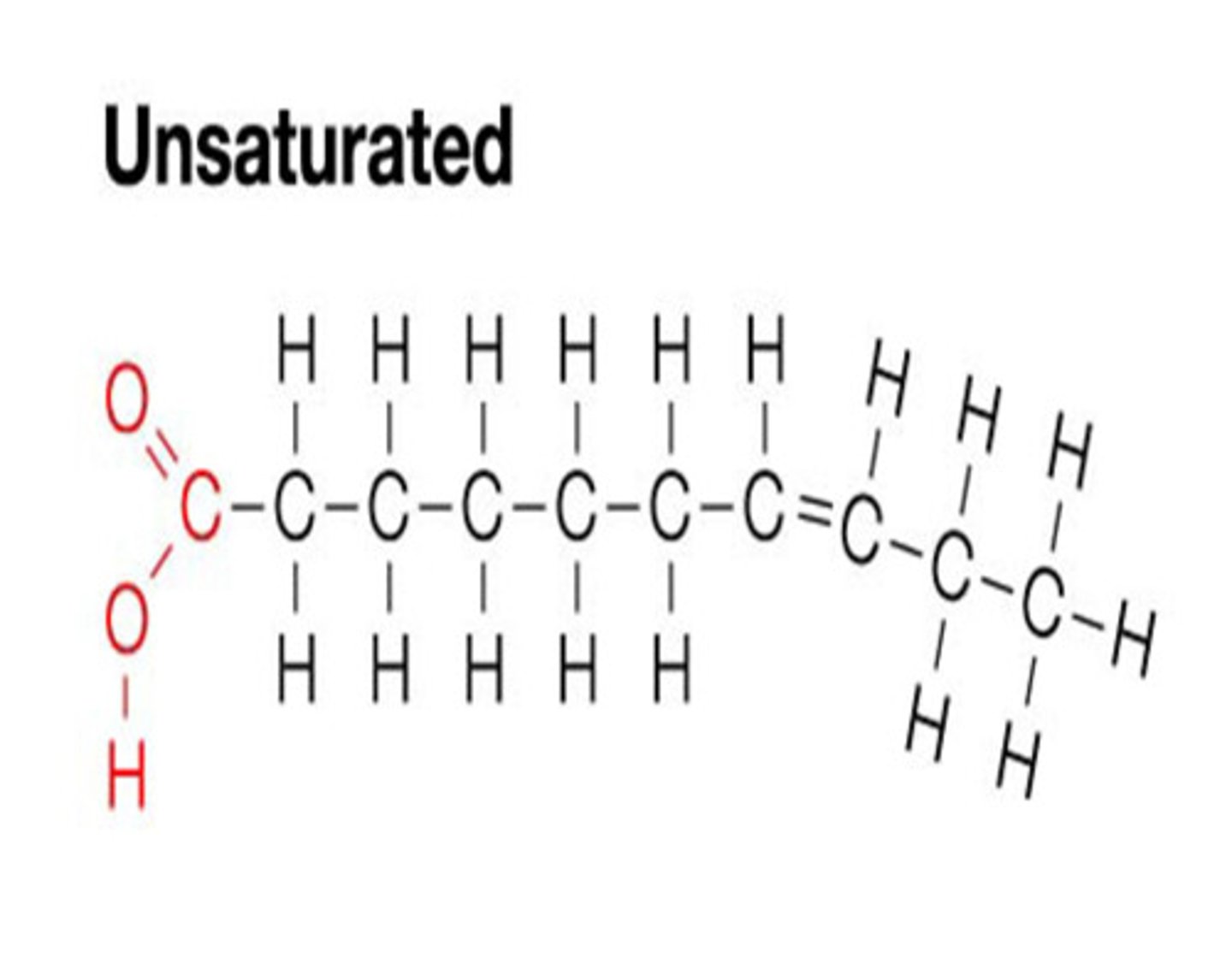 <p>Unsaturated= Kincked chain: If hydrogens are removed (can be added back), the carbon is 'unsaturated'.</p>