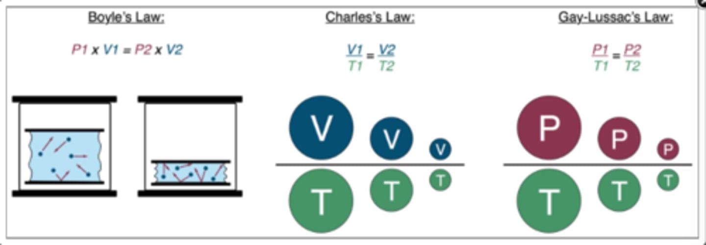 <p>Boyle's: inverse relationship</p><p>-one variable ↑, the other ↓</p><p>-one variable ↓, the other ↑</p><p>Charles's + Gay-Lussac's: direct relationships</p><p>-one variable ↑, the other ↑</p><p>-one variable ↓, the other ↓</p>