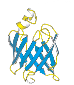 <p>what do the yellow strings represent?</p>