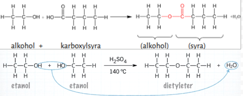 <p>en eter skapas från 2x alkohol, bildar eter och vatten</p><p>en ester skapas från alkohol och karboxylsyra, vatten bildas (egentligen en jämviktsreaktion)</p><p>motsats till hydrolys, vatten skapas då två molekyler sätts ihop</p>