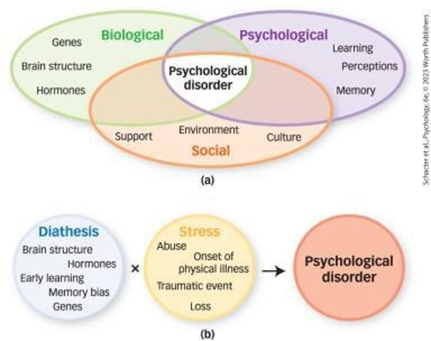 <p>A model suggesting that mental disorders result from interactions among biological, psychological, and social factors.</p>
