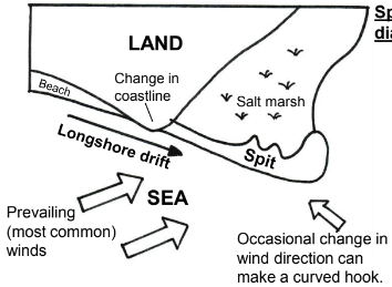 <ul><li><p>Spit - long, curved narrow ridge of sand and shingle connected to coast at 1 end. Often salt marsh behind</p></li><li><p>Formed when longshore drift moves sediment along coastline in same direction as prevailing wind. Sediment is deposited when coastline suddenly changes direction e.g where coastline meets a river mouth. </p></li><li><p>Bar - spit of sand and shingle that extends the whole way across a bay</p></li></ul>