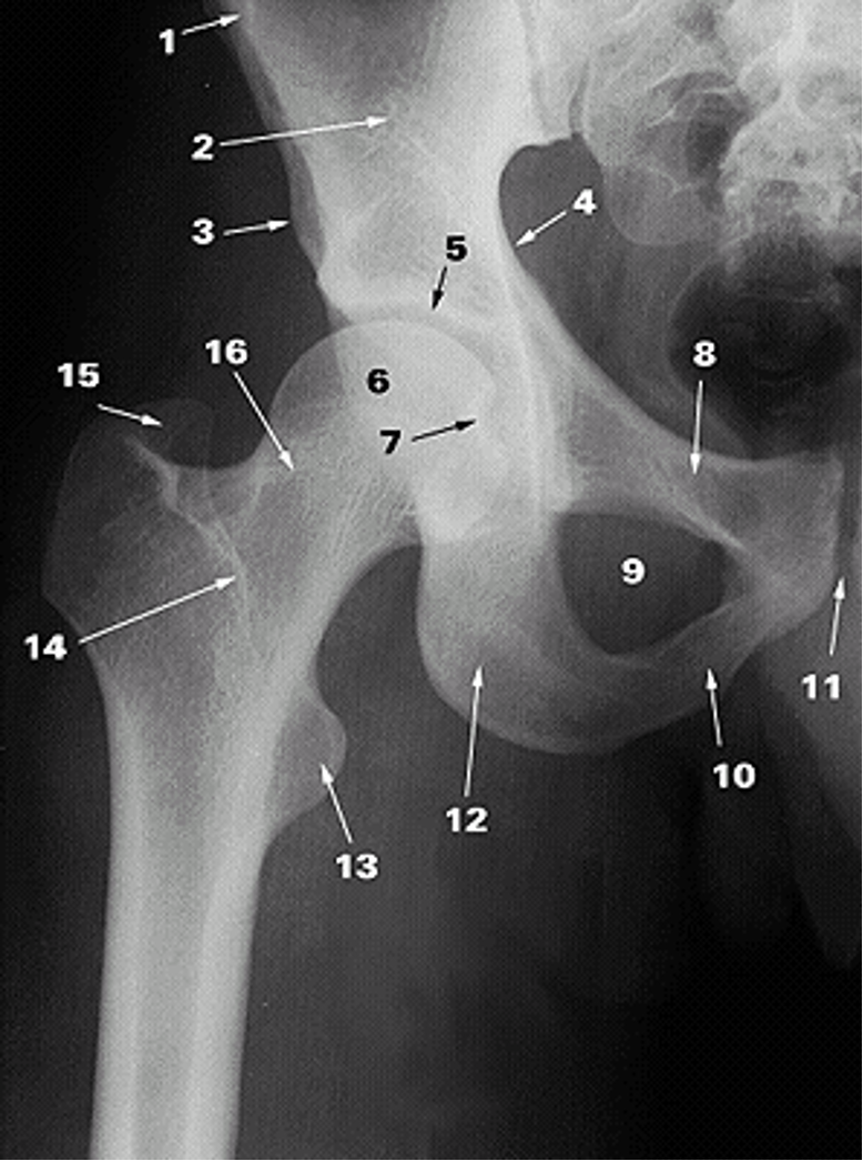 <p>15.</p>