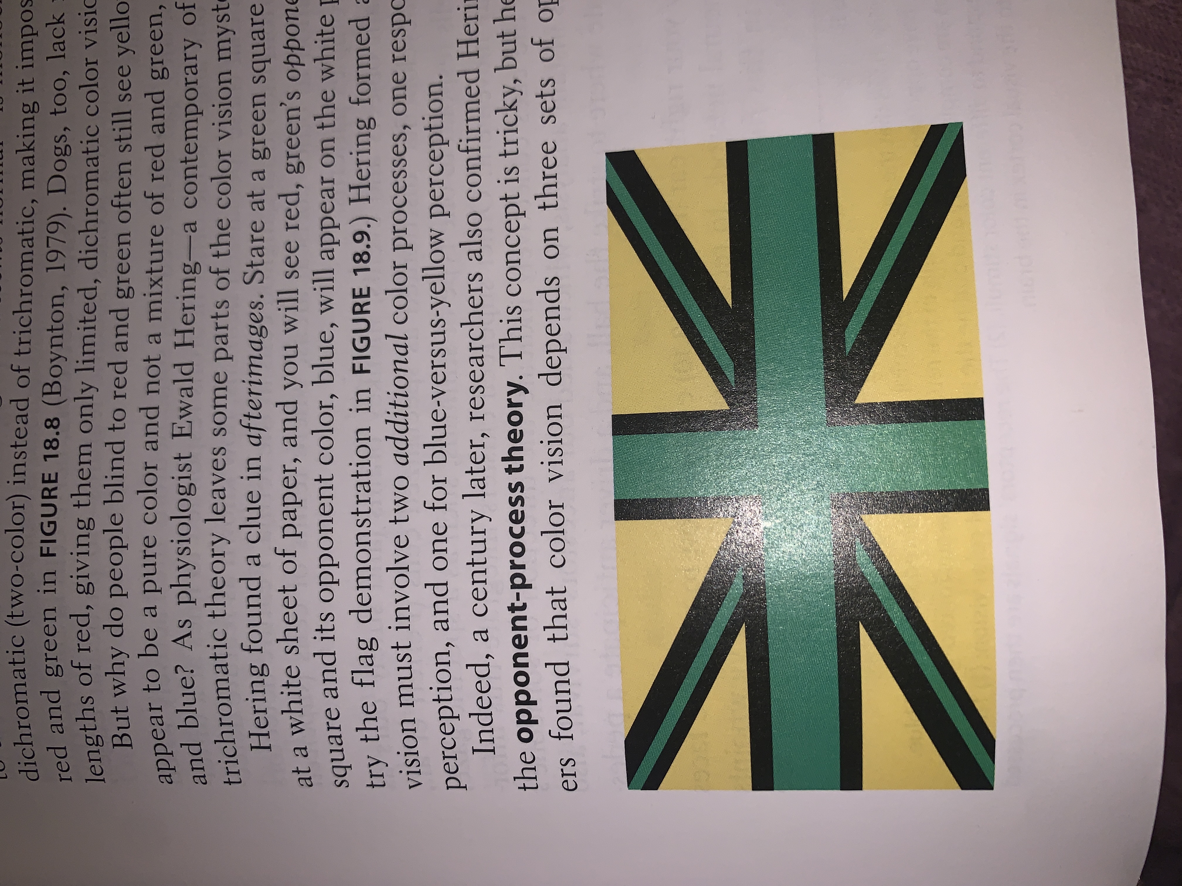 <p>the yellow will become blue, green into red, and black into white.</p>
