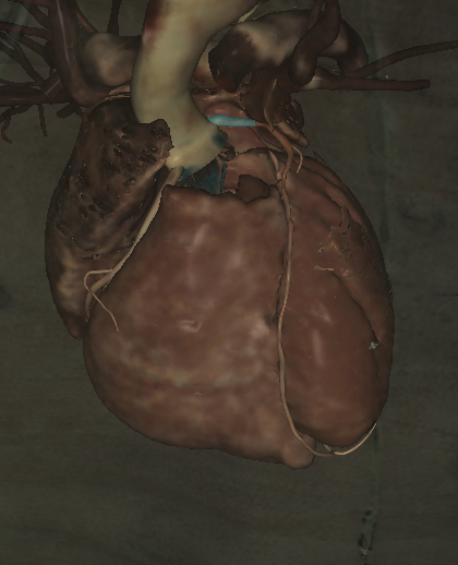 <p>Name the structure highlighted </p>