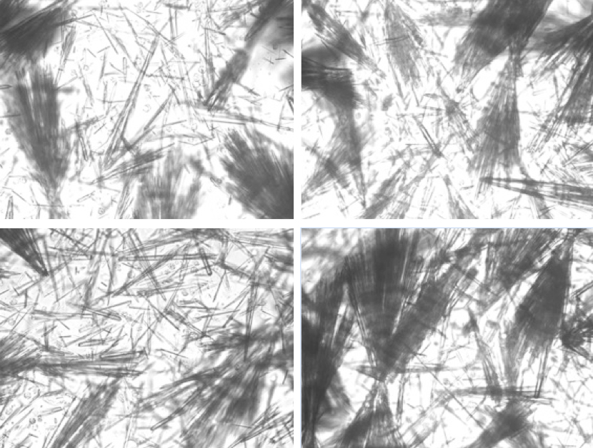 <p>I do not like this one</p>