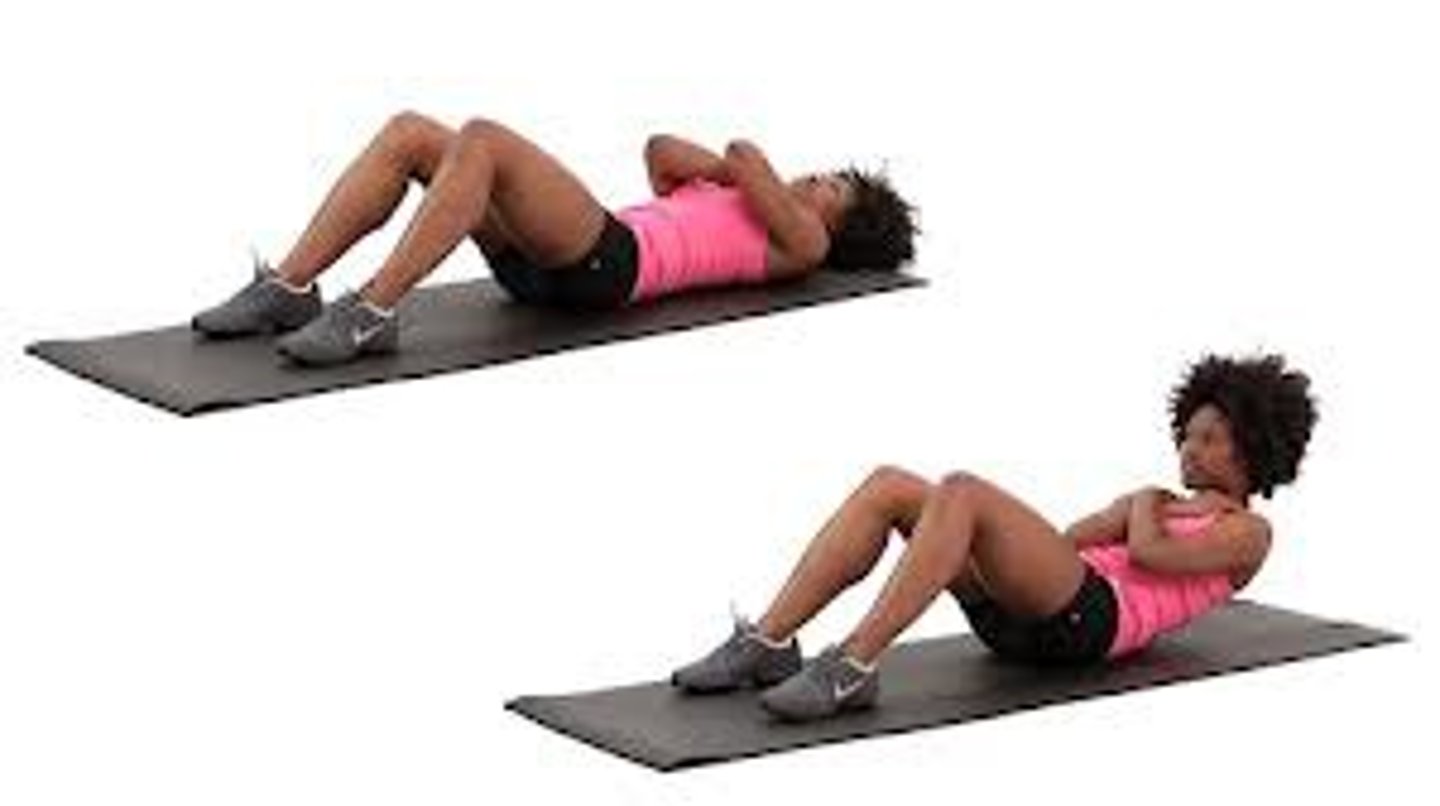 <p>crunches</p>