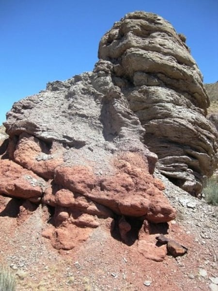 <p>Decomposition, weathering and nutrient cycling.</p>