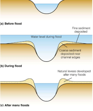 * As a stream spills over its flood plain, it moves from a deep channel with high velocity, to a shallow broad floodplain with low velocity
  * Biggest grain sized material fall out first right next to river channel, while finer material is carried further away from channel
    * Overtime this forms a ‘wall’
