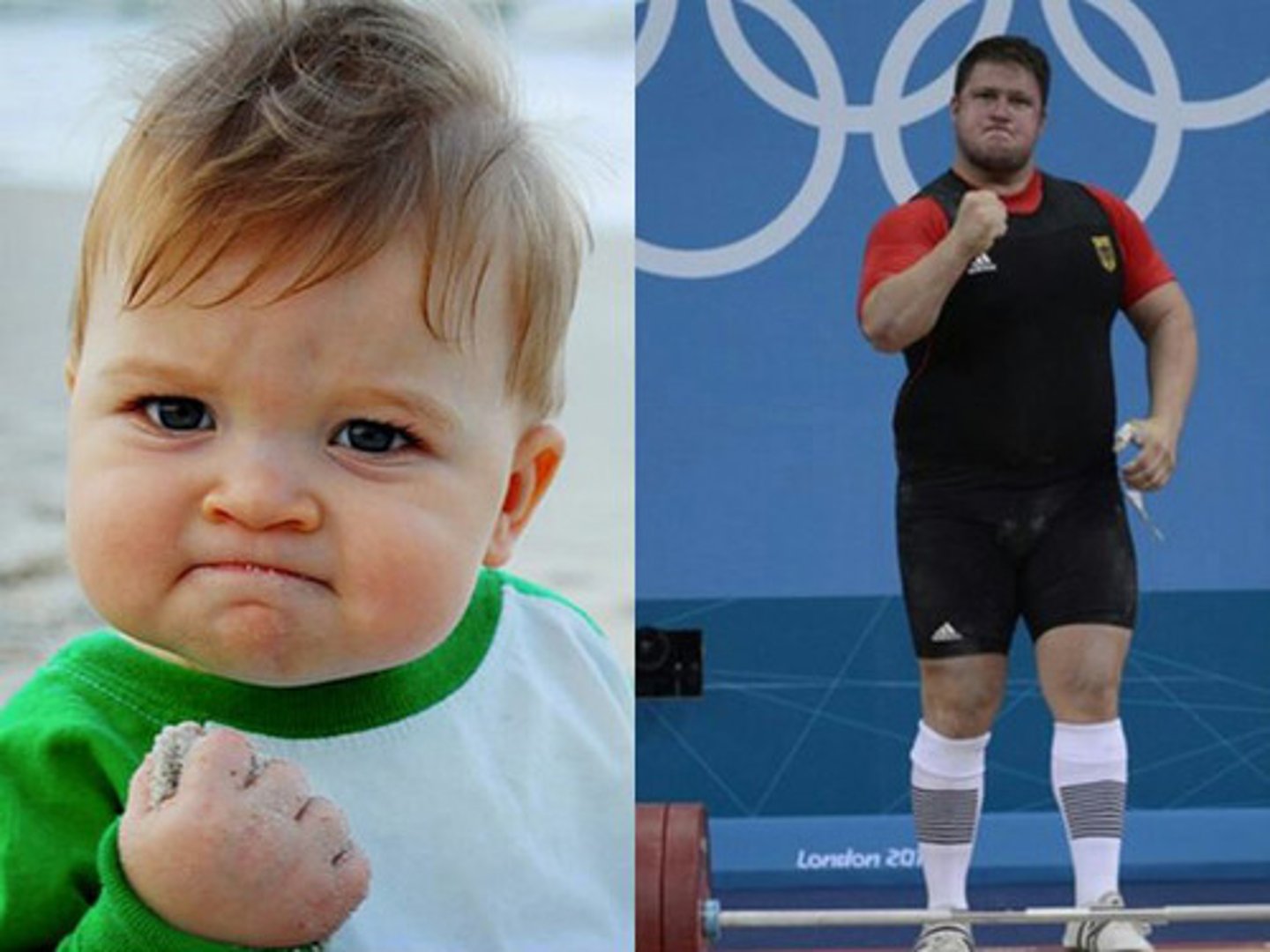 <p>взрослый / полностью выросший</p>