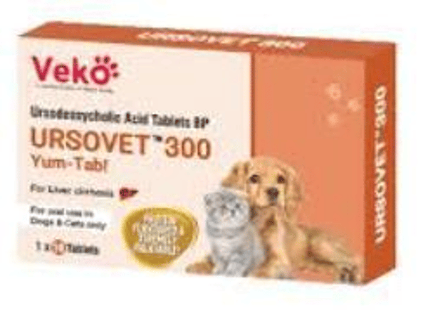 <p>It is a choleretic that replaces toxic bile acids, increases bile flow, and reduces immune-mediated injury.</p>