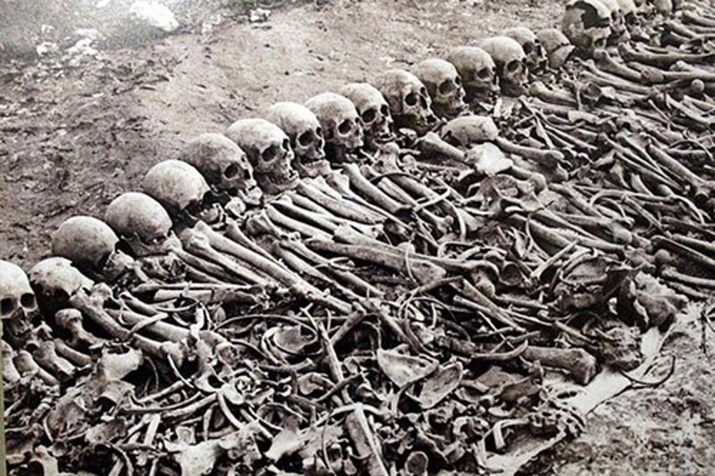 <p>The deliberate killing of a large number of people from a particular nation or ethnic group with the aim of destroying that nation or group. (Max)</p>