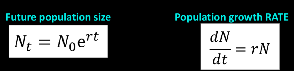 <p>see pic</p>