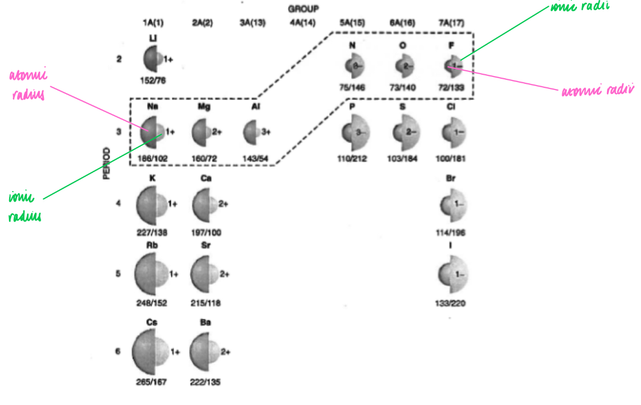 <ul><li><p>nuclear charge increases</p></li><li><p>The shielding remains the same </p></li><li><p>Therefore the attraction between the positive nucleus and outermost electrons increases</p></li><li><p>Therefore the distance between them increases </p></li></ul><p></p>